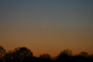 McNaught